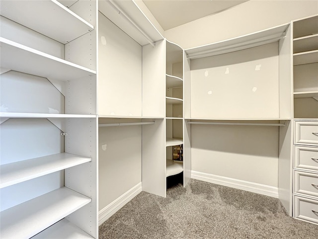 4993 Southlawn Ave, Orlando, FL 32811 - walk in closet with carpet floors