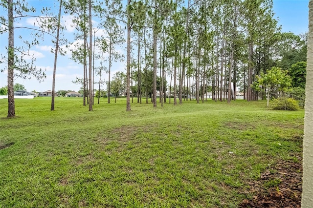 142 Stonegate Pass, Davenport, FL 33897 - view of grassy yard