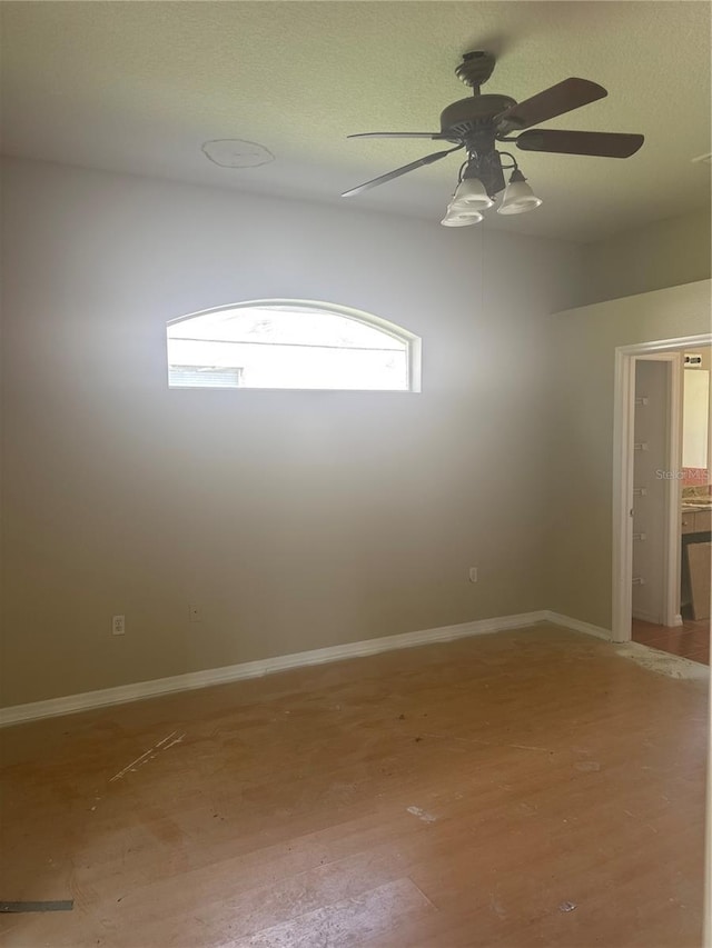 1452 Crazy Horse Dr, Lutz, FL 33559 - photo 6