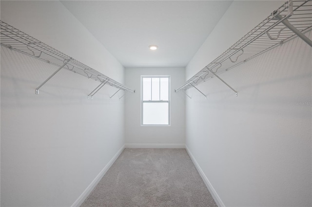 9199 Waverly Walk Dr, Orlando, FL 32817 - photo 62