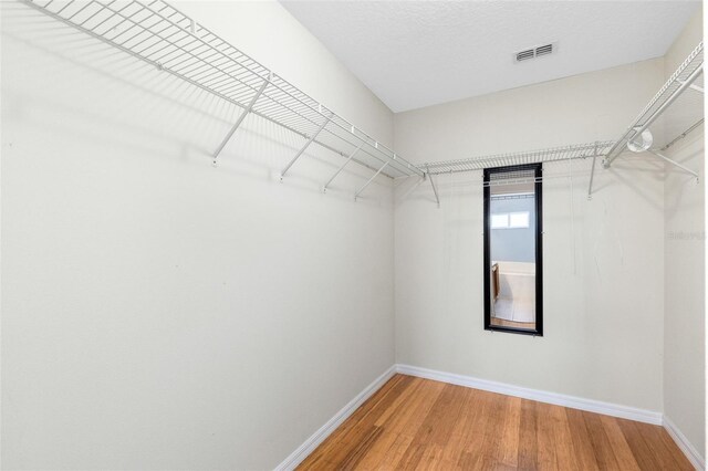 15324 Black Lion Way, Winter Garden, FL 34787 - walk in closet featuring wood finished floors