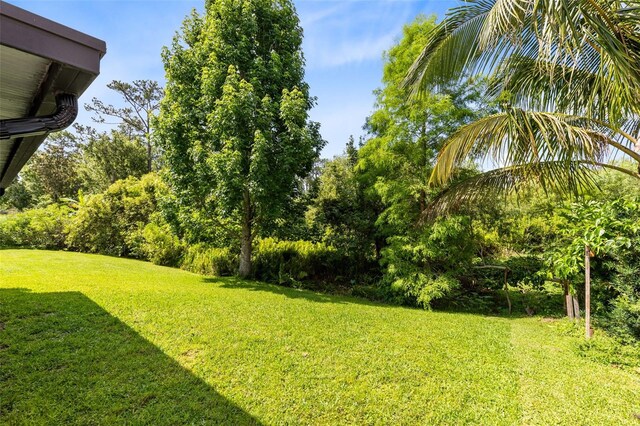 15324 Black Lion Way, Winter Garden, FL 34787 - view of green lawn