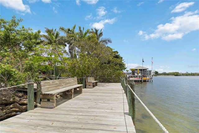 618 Manatee Bay Dr, Cape Canaveral, FL 32920 - dock area with a water view