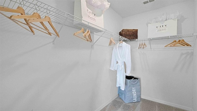 view of walk in closet
