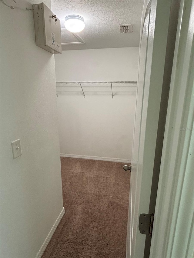 11187 Savannah Landing Cir, Orlando, FL 32832 - walk in closet featuring carpet floors