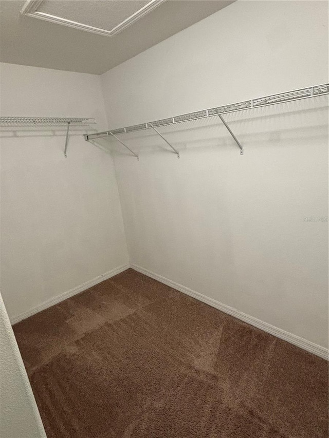 11187 Savannah Landing Cir, Orlando, FL 32832 - walk in closet with dark carpet and attic access