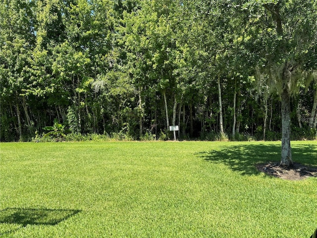11187 Savannah Landing Cir, Orlando, FL 32832 - view of grassy yard