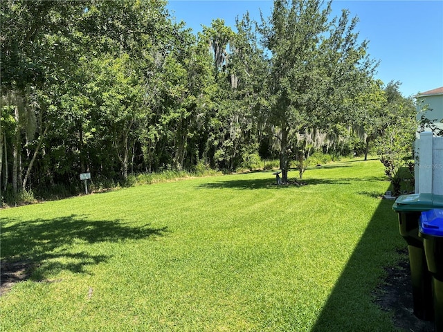 11187 Savannah Landing Cir, Orlando, FL 32832 - view of grassy yard