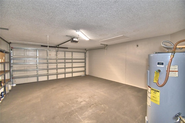 7504 Willow Wisp Dr E, Lakeland, FL 33810 - garage featuring water heater and a garage door opener