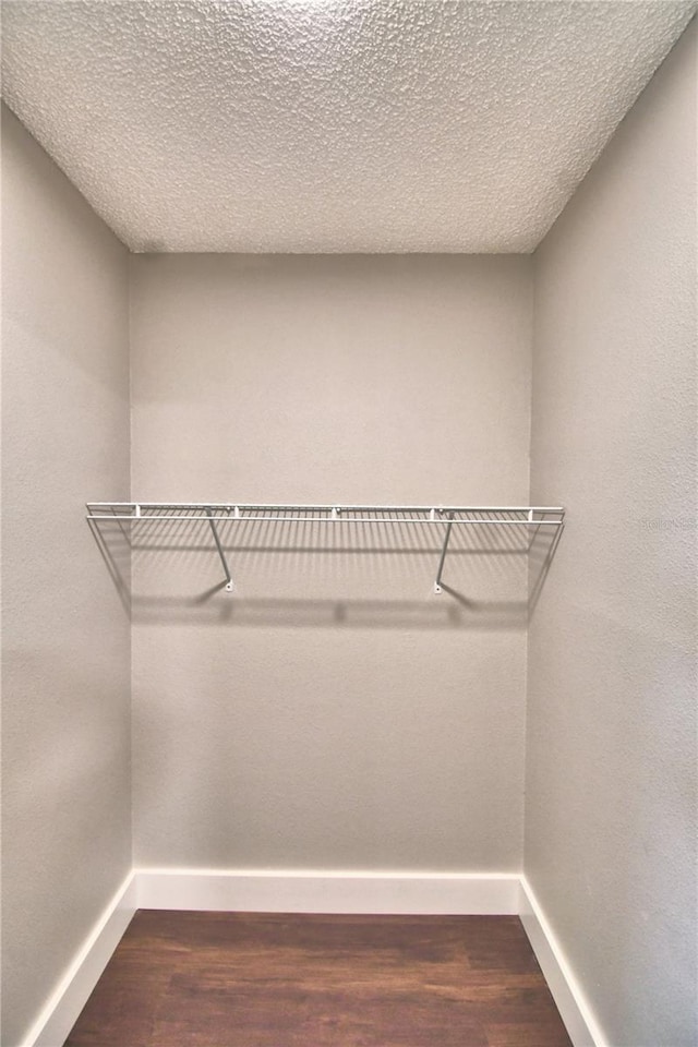 7504 Willow Wisp Dr E, Lakeland, FL 33810 - spacious closet with dark wood-style flooring