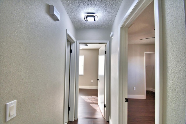 7504 Willow Wisp Dr E, Lakeland, FL 33810 - hallway with a textured wall, a textured ceiling, wood finished floors, and baseboards