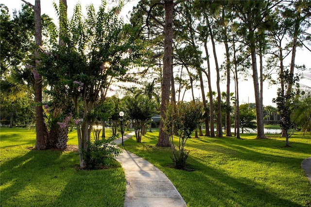 4364 White Pine Ave Unit 3, Orlando, FL 32811 - view of property's community featuring a water view and a yard