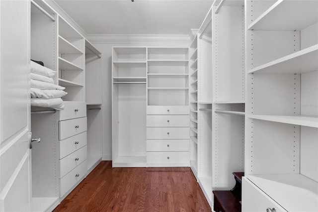 140 E Morse Blvd Unit J, Winter Park, FL 32789 - spacious closet with dark wood-type flooring
