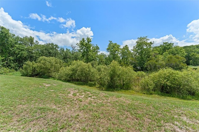 214 Monroe Cir, Davenport, FL 33896 - view of tree filled area