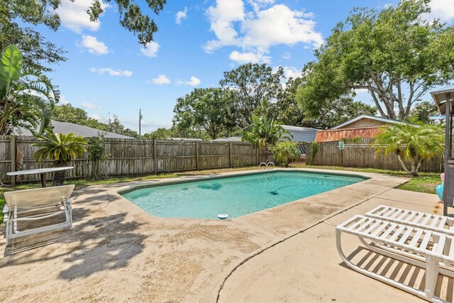 310 E Gulley Ave, Oakland, FL 34760 - view of pool with a patio and a fenced backyard
