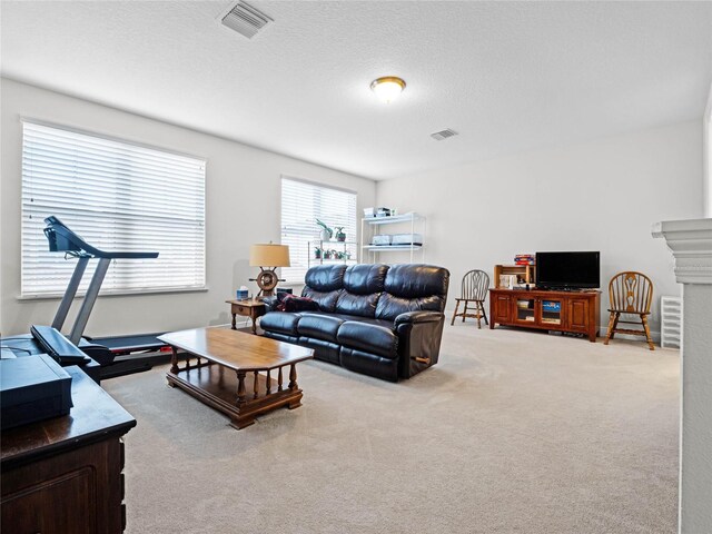 8818 Bismarck Palm Dr, Winter Garden, FL 34787 - view of carpeted living room