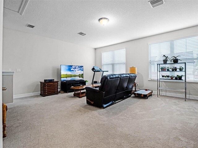 8818 Bismarck Palm Dr, Winter Garden, FL 34787 - living area featuring carpet flooring, a textured ceiling, and baseboards