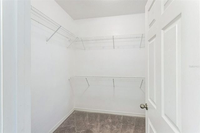 6204 Camino Dr, Apollo Beach, FL 33572 - photo 12