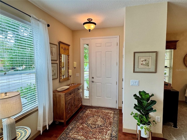 10350 Lake District Ln Unit S, Orlando, FL 32832 - foyer featuring healthy amount of natural light, baseboards, and dark wood-style floors