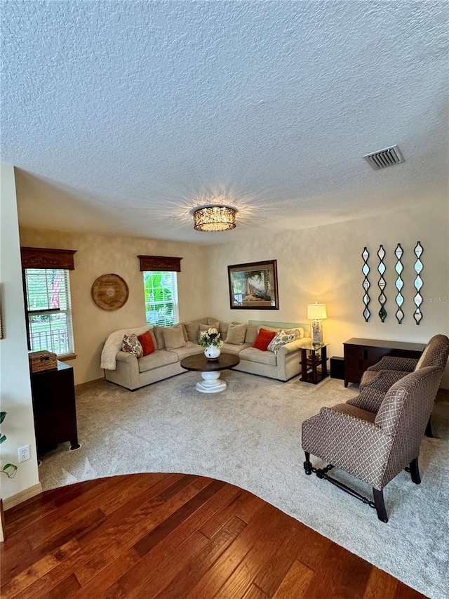 10350 Lake District Ln Unit S, Orlando, FL 32832 - living room with wood-type flooring, a textured ceiling, and carpet flooring