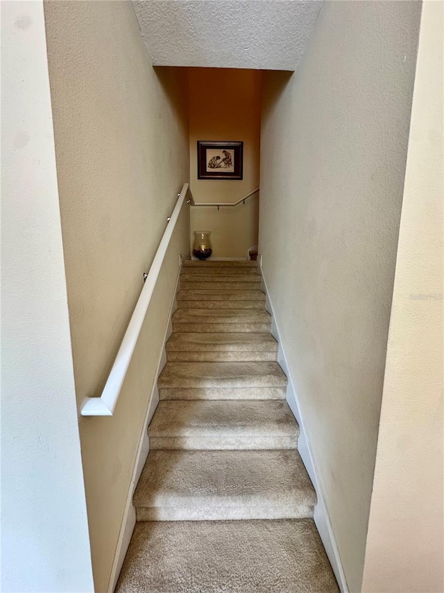 10350 Lake District Ln Unit S, Orlando, FL 32832 - stairs featuring a textured ceiling, carpet floors, and baseboards