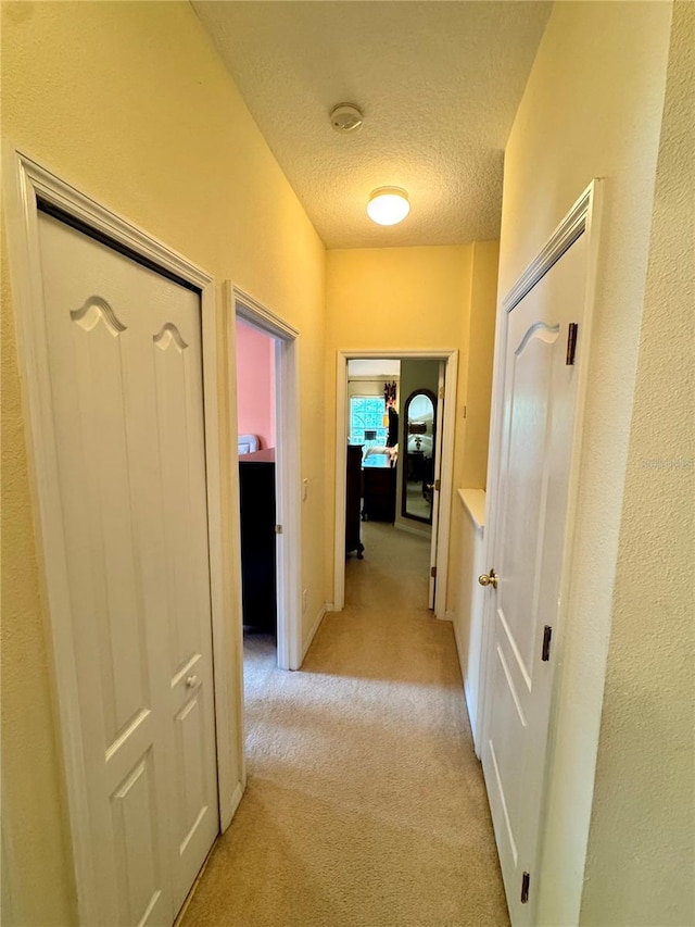 10350 Lake District Ln Unit S, Orlando, FL 32832 - corridor featuring light colored carpet and a textured ceiling