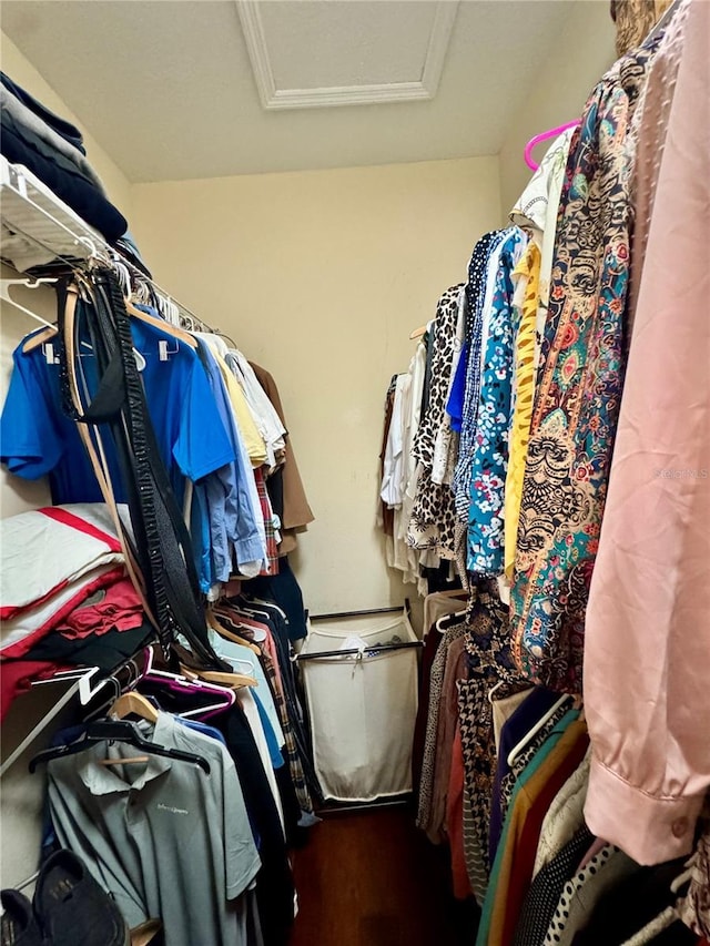10350 Lake District Ln Unit S, Orlando, FL 32832 - spacious closet featuring attic access and wood finished floors
