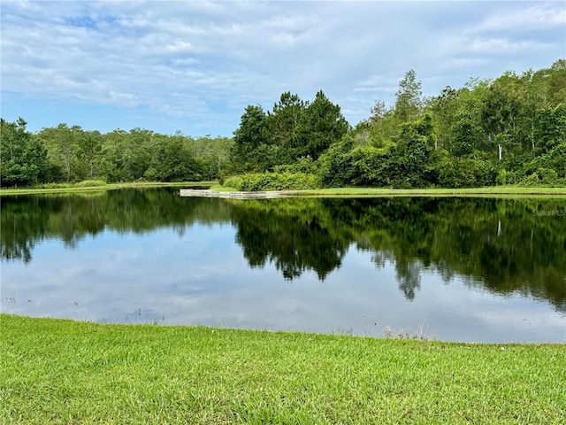 10350 Lake District Ln Unit S, Orlando, FL 32832 - water view featuring a heavily wooded area