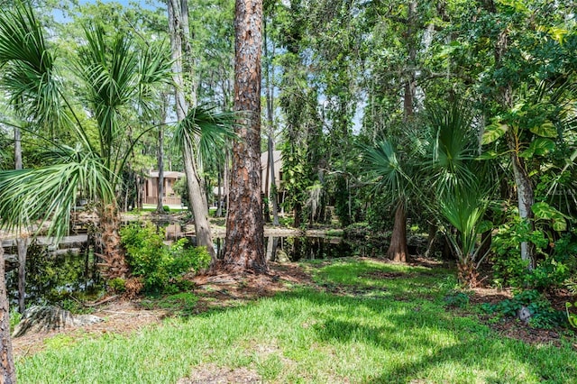 5301 Burning Tree Dr Unit F, Orlando, FL 32811 - view of yard