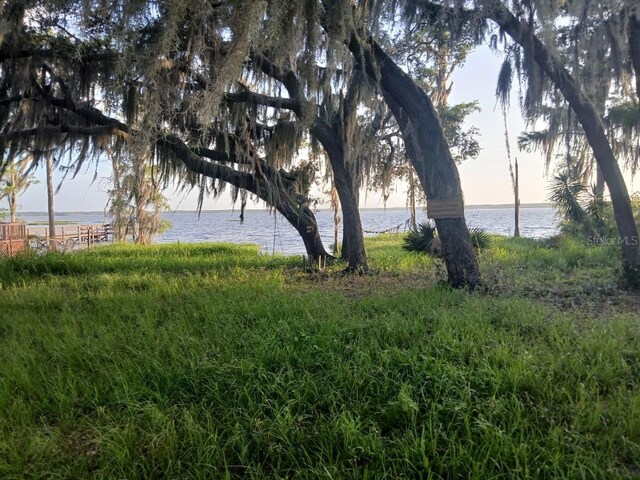 10012 Lake Louisa Rd, Clermont, FL 34711 - water view