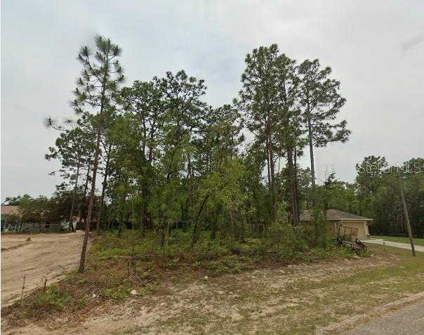 1526 W Gainsboro Ln, Citrus Springs, FL 34434 - photo 1