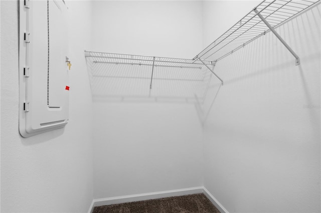 716 Daring Dr, Davenport, FL 33837 - walk in closet featuring electric panel and carpet flooring