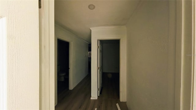 39 S College Ave, Maitland, FL 32751 - hall with ornamental molding and dark wood-style floors