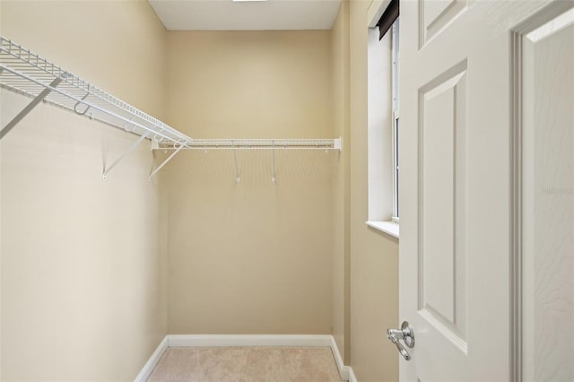 8430 Leatherleaf Ln, Orlando, FL 32827 - photo 17
