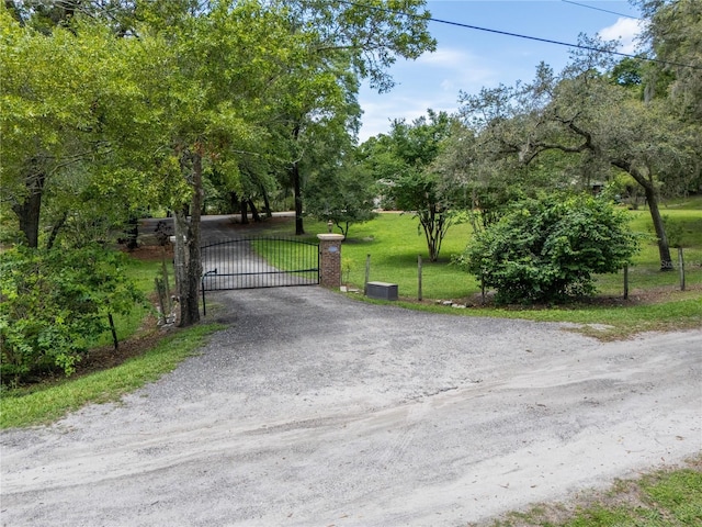 1550 Kevin Ln, Deland, FL 32724 - view of dirt / gravel driveway featuring a gate, a gated entry, and view of scattered trees