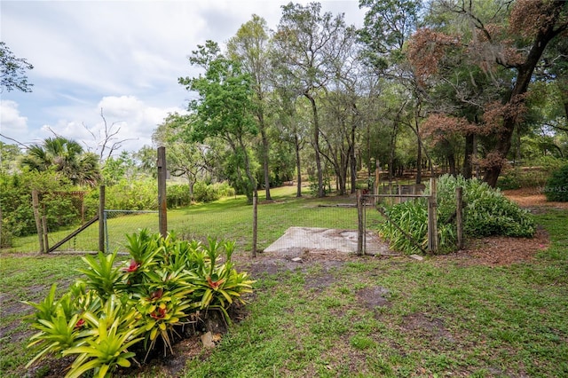 1550 Kevin Ln, Deland, FL 32724 - view of yard featuring a gate