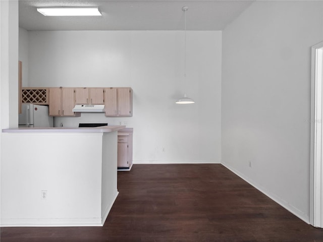 2533 Grassy Point Dr Unit 215, Lake Mary, FL 32746 - kitchen with freestanding refrigerator, exhaust hood, light brown cabinets, and dark wood-style flooring