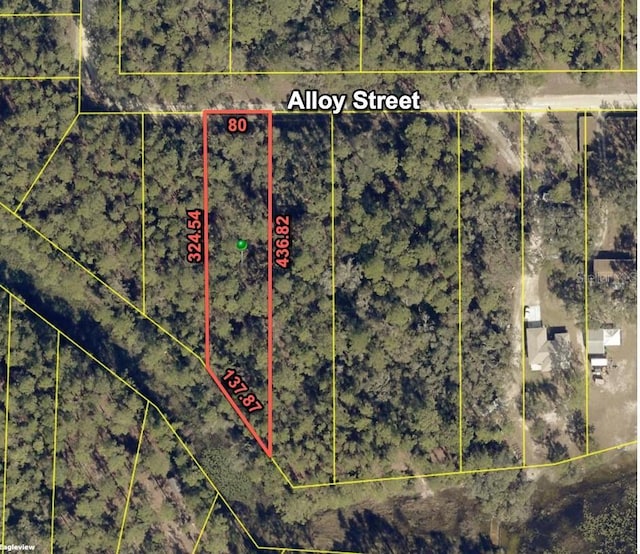 7255 Alloy St, Webster, FL 33597 - photo 1