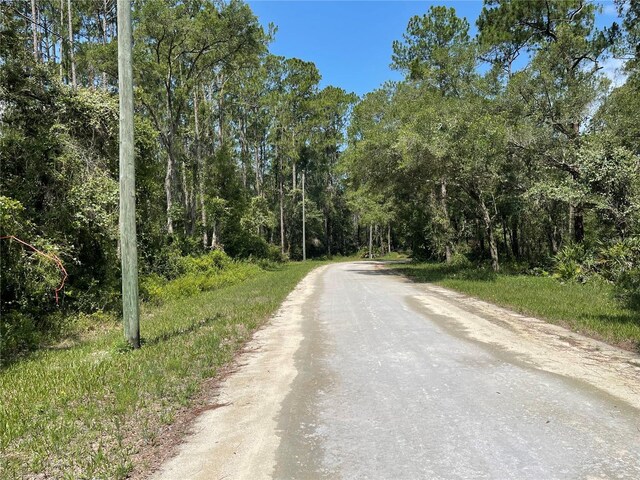 7255 Alloy St, Webster, FL 33597 - photo 3