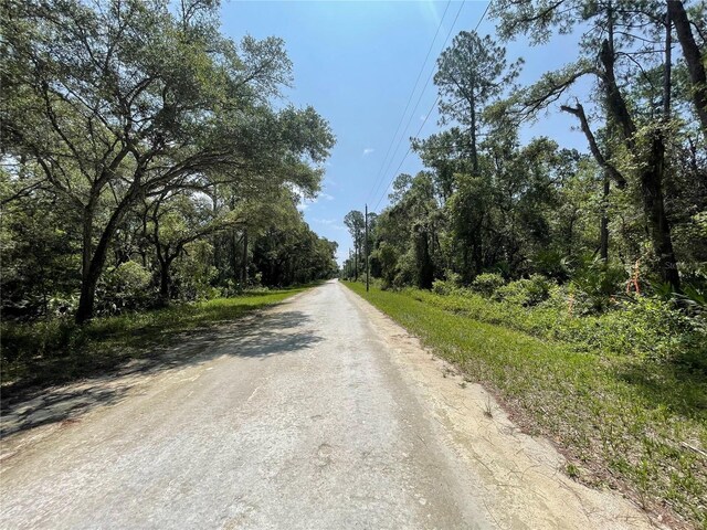 7255 Alloy St, Webster, FL 33597 - photo 4