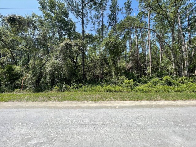 7255 Alloy St, Webster, FL 33597 - photo 5