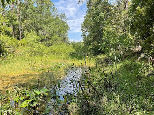 7255 Alloy St, Webster, FL 33597 - photo 8