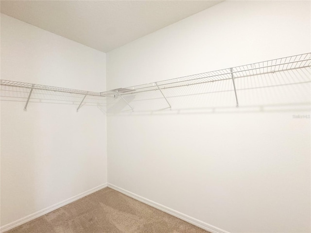 316 Tanglewood Dr, Davenport, FL 33896 - photo 20