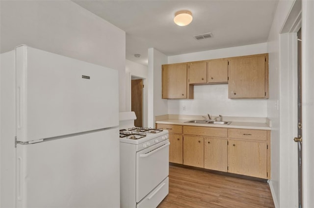 1170 E Bay St, Winter Garden, FL 34787 - kitchen with white appliances, a sink, light countertops, light wood-style flooring, and light brown cabinetry