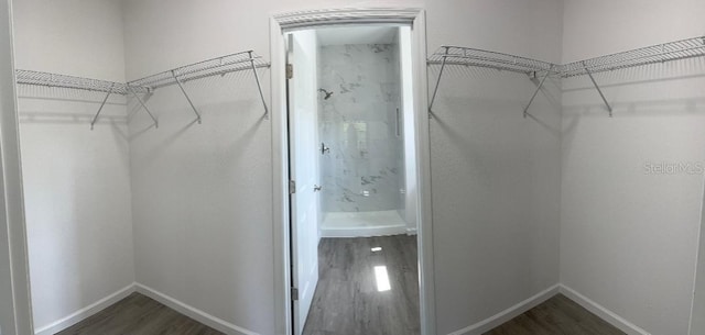 611 Amazon Pl, Kissimmee, FL 34759 - walk in closet with wood finished floors