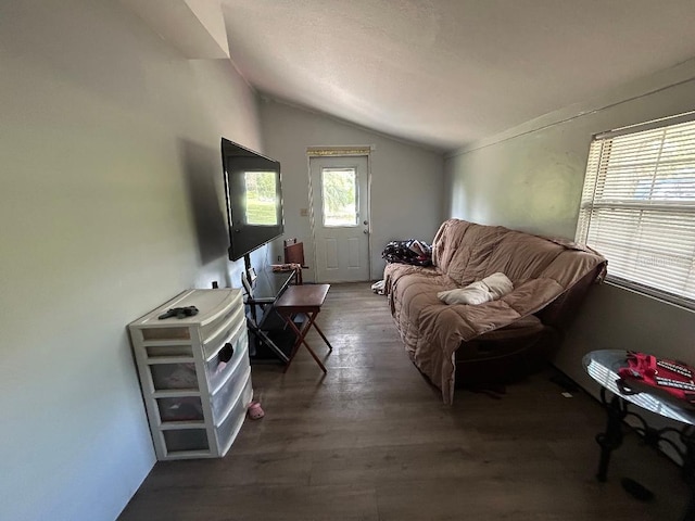 2847 Crk 756, Webster, FL 33597 - living room featuring vaulted ceiling and wood finished floors
