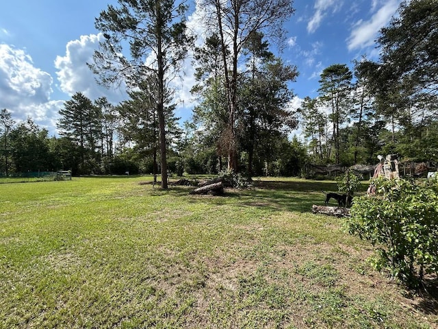 2847 Crk 756, Webster, FL 33597 - view of grassy yard