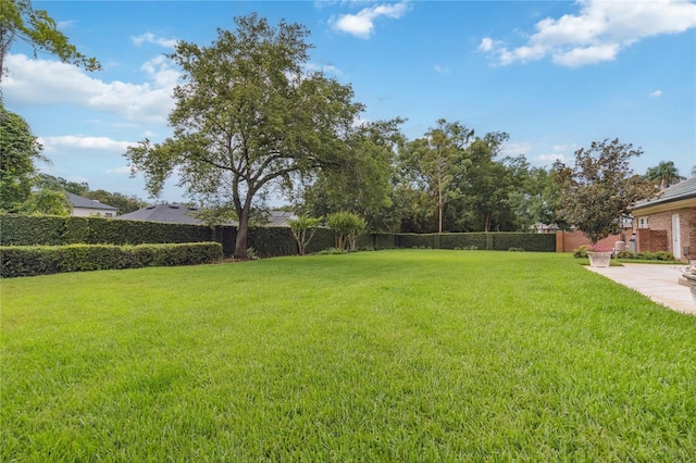 3215 Greens Ave, Orlando, FL 32804 - photo 65