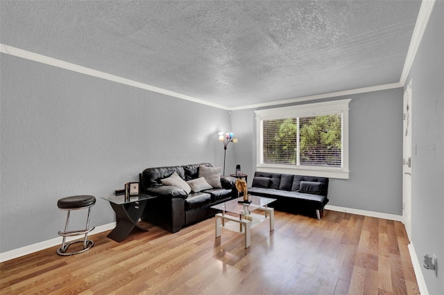 1940 S Conway Rd Unit 8, Orlando, FL 32812 - living room featuring wood finished floors, ornamental molding, and a textured ceiling