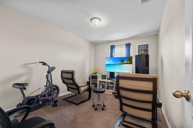 2620 Waterline St, Kissimmee, FL 34743 - exercise area featuring carpet, a textured ceiling, and baseboards